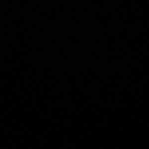 Meet your Posher, Leena